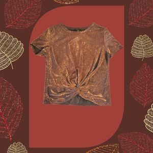 Soprano Sheer Glitter Top